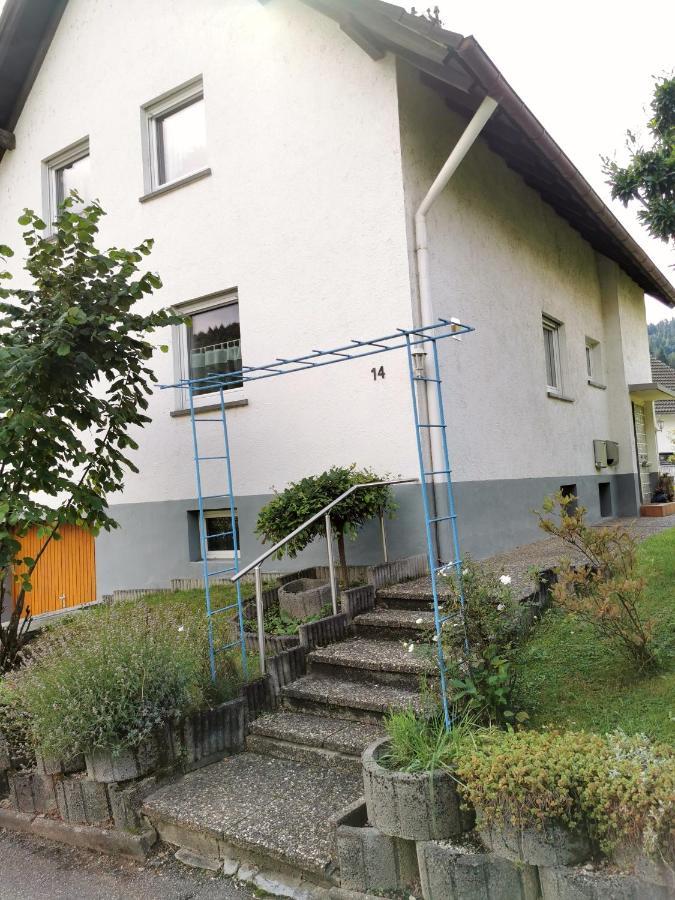3 Zimmer-Apartment Mit Terrasse Ґернсбах Екстер'єр фото